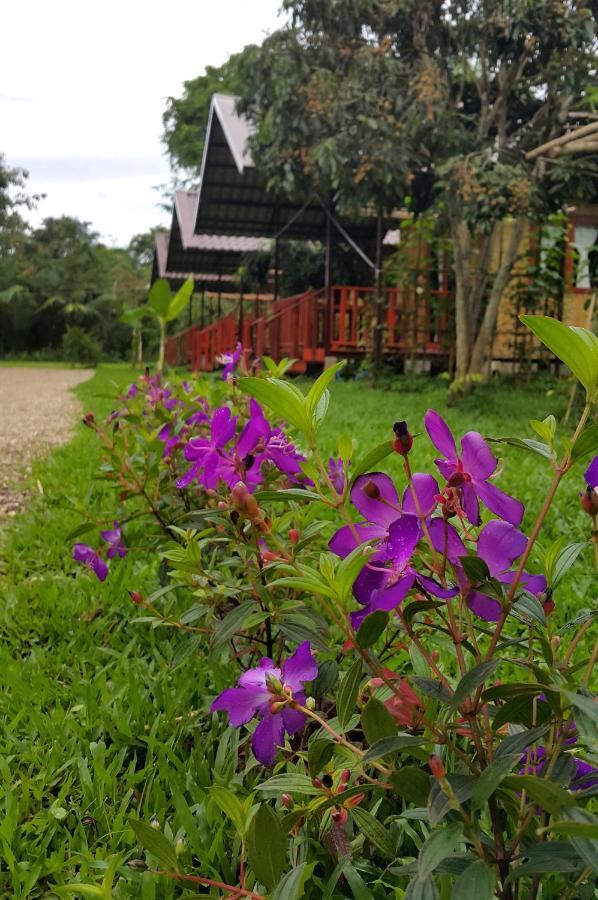 Hotel Chiang Dao Reset Exterior foto